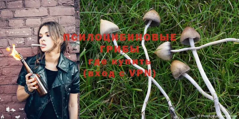 Галлюциногенные грибы Magic Shrooms  Нолинск 